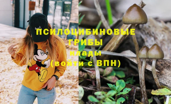 стаф Волосово