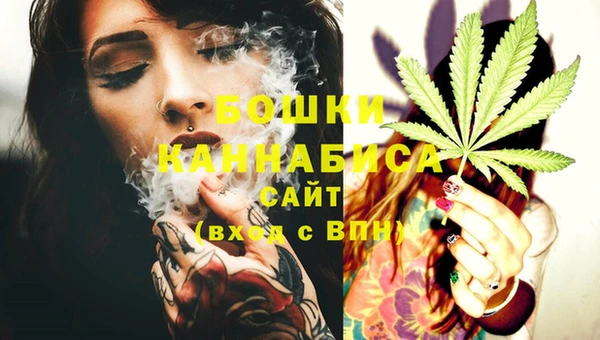 стаф Волосово