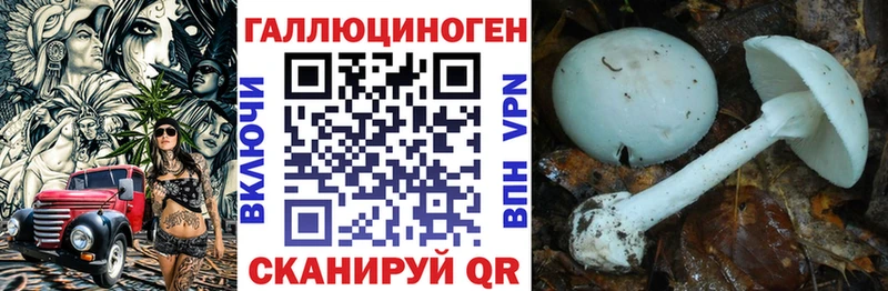 Галлюциногенные грибы Magic Shrooms Ноябрьск